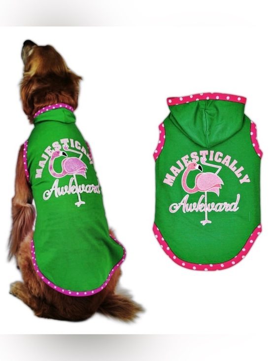 Vibrant Life Other - Vibrant Life Majestically Awkward Dog Hoodie